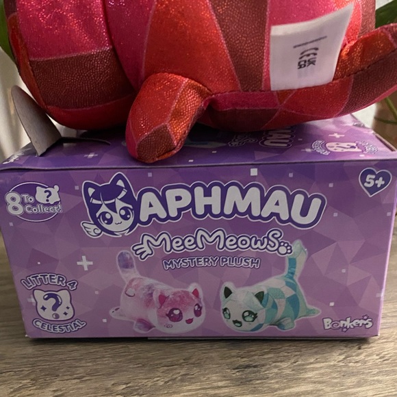 Aphmau Ruby Gem meemeow litter 4 - Picture 7 of 7